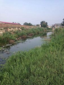 大城縣平舒鎮八方寶利南側坑塘治理